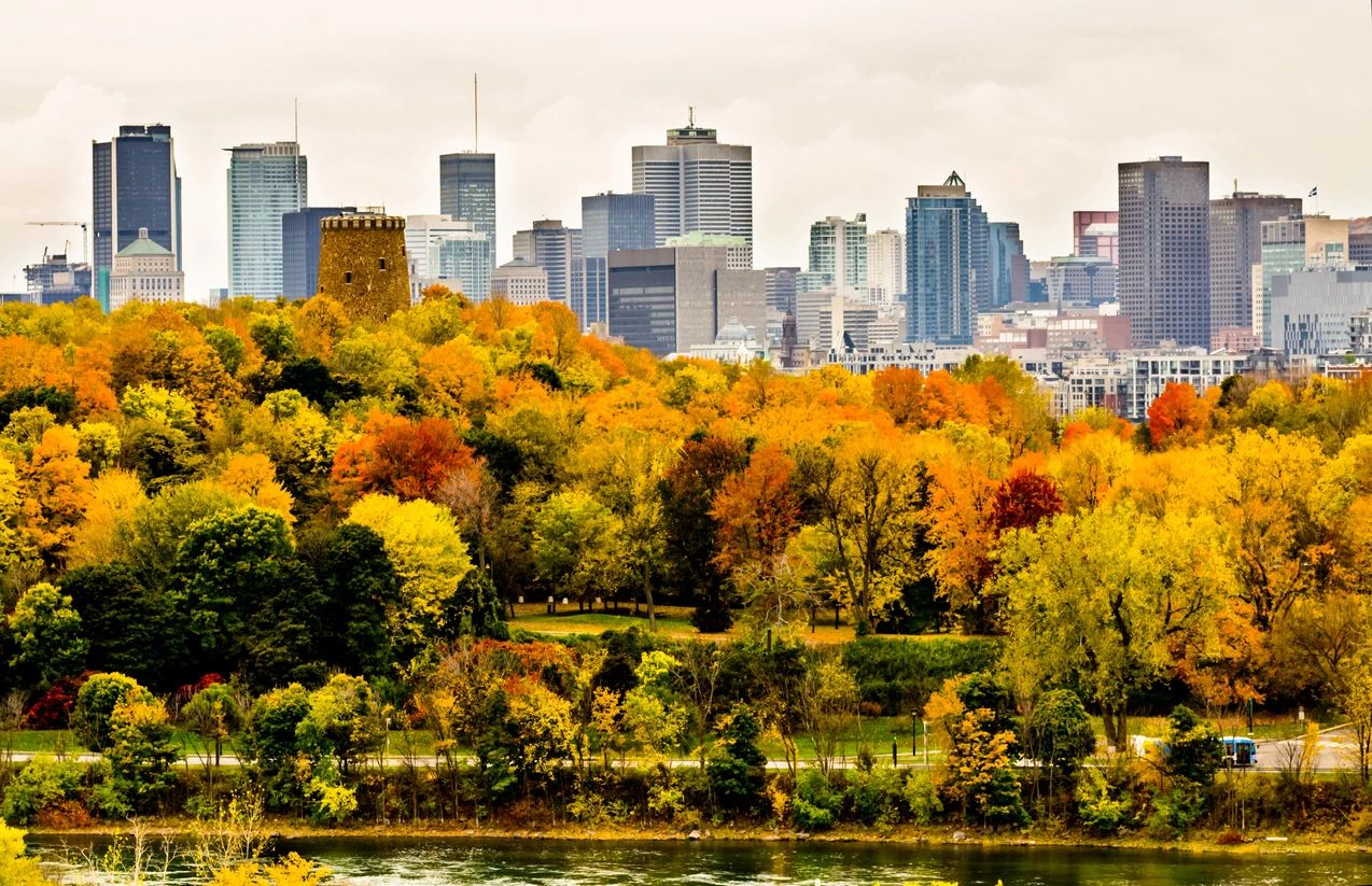 A painting of the city skyline in autumn.